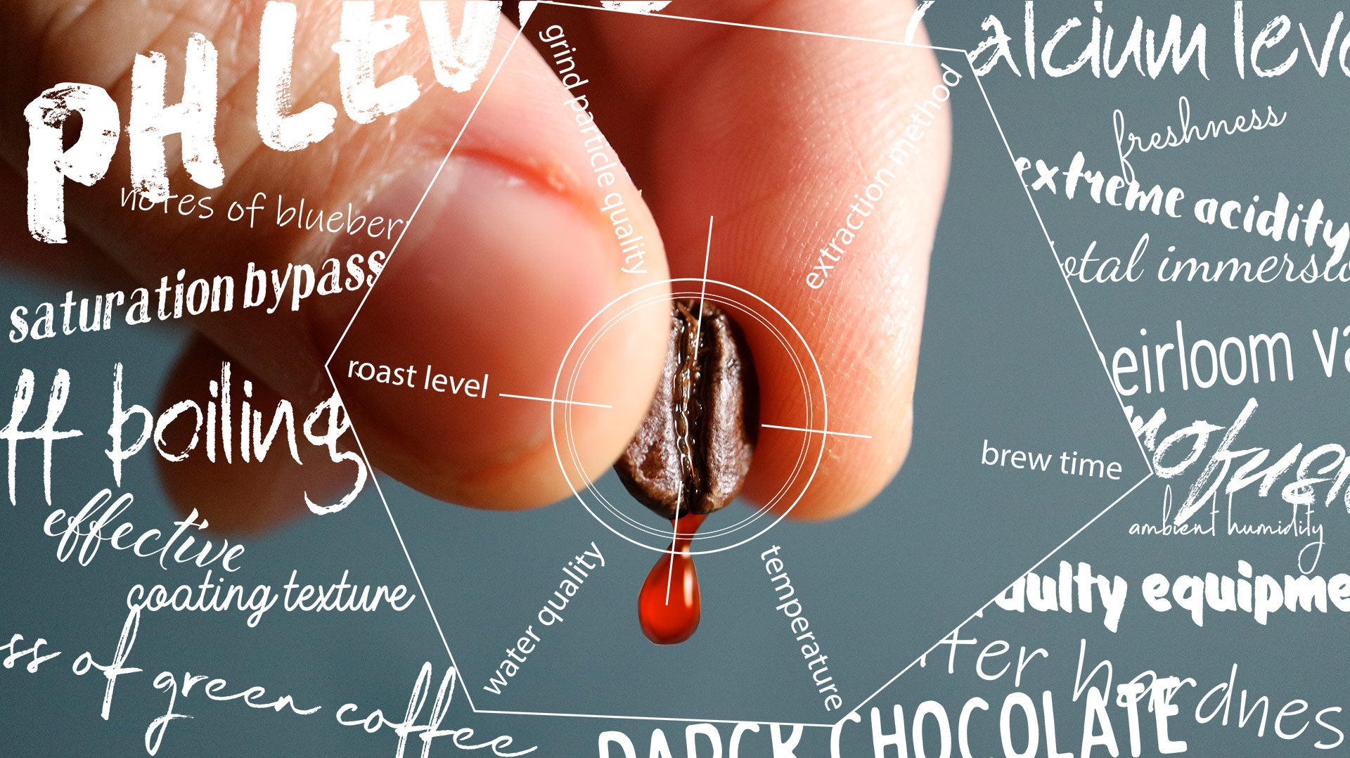 BKG Brew Guide: Coffee Extraction 101